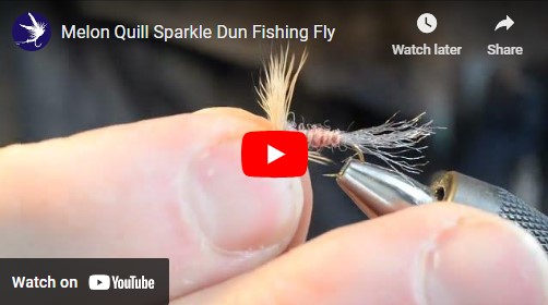 Tying a Melon Sparkle Dun Fishing Fly